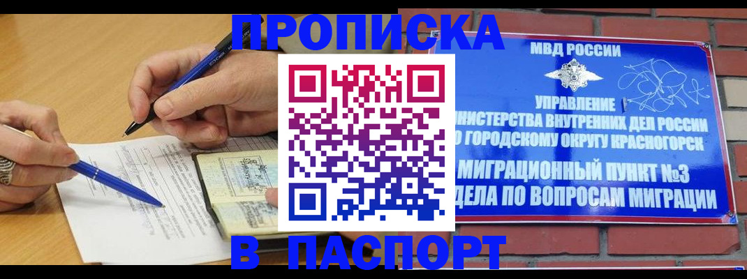 регистрация через МФЦ в Пушкино